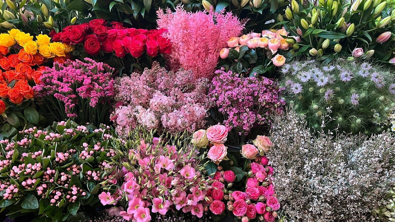 Petition · Save The Flower Stall at Clapham Junction Station United