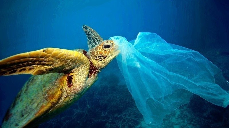 Peion Environment Ministers End Free Plastic Bags