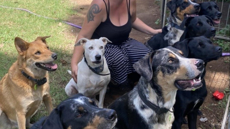 Petition · Fraser coast additional pet laws Australia ·