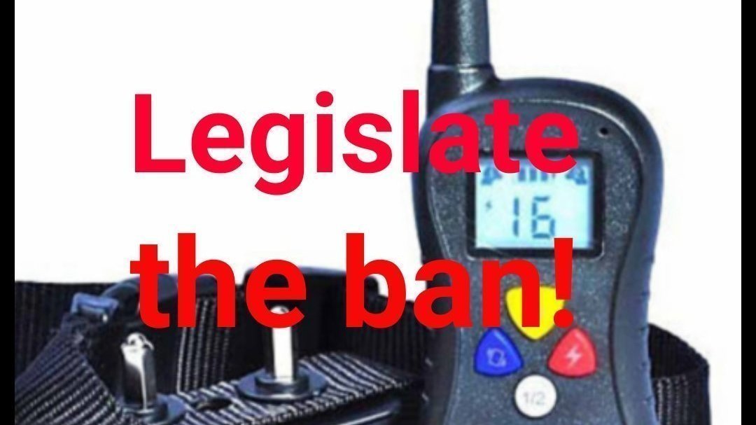 Petition · Bring in to force the shock collar ban in England. ·