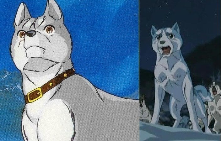 Petition Make The English Dub For The Ginga Anime Series Petition Make The English Dub For The Ginga Anime Series