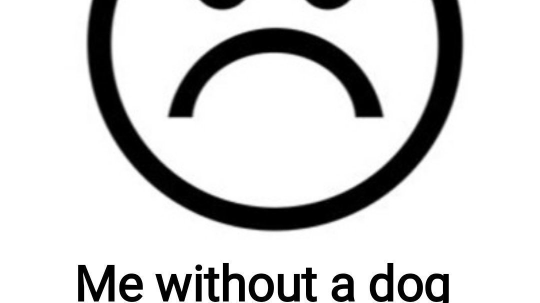 petition-petition-for-my-mother-to-get-me-a-dog-united-kingdom