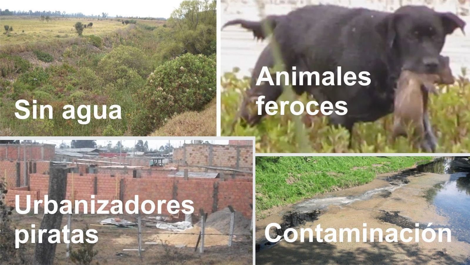 Petición · Se muere el Humedal Meandro del Say Colombia ·