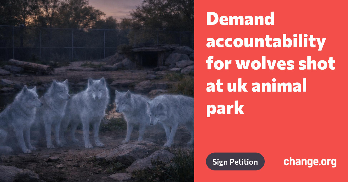 Petition · Demand accountability for wolves shot at uk animal park ...