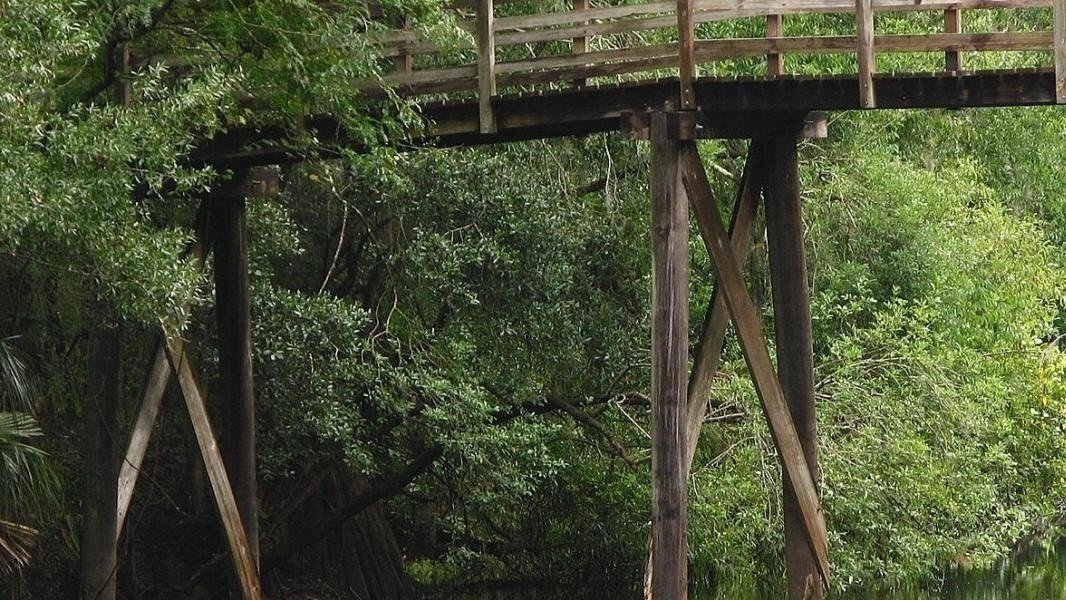 Petition · Christmas Tree Recycling for Hillsborough River ·