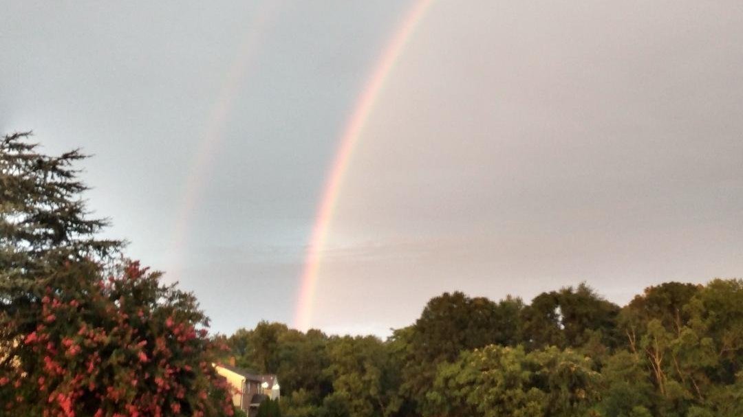 Petition · Oppose development of 108 townhomes in Runnemede Runnemede