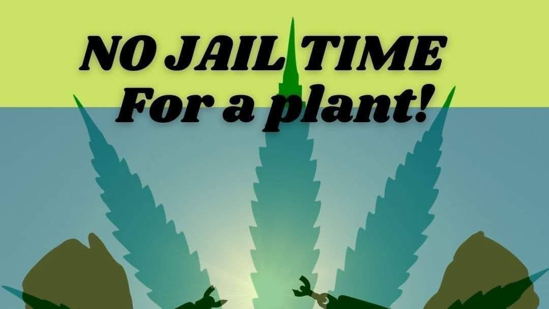 Petition · No Jail Time For A Plant ·