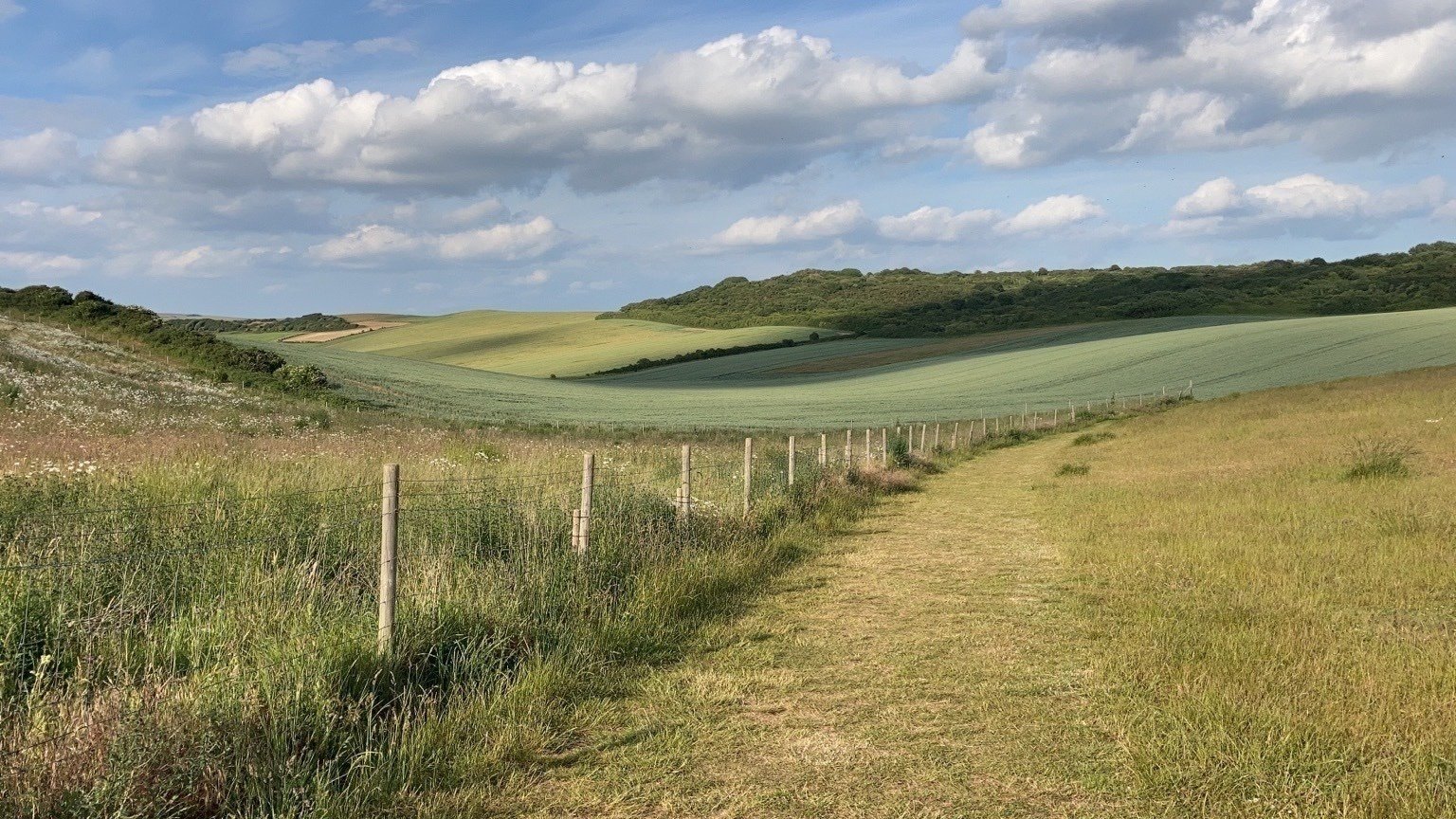 Petition · Call on the government to scrap the housing target system