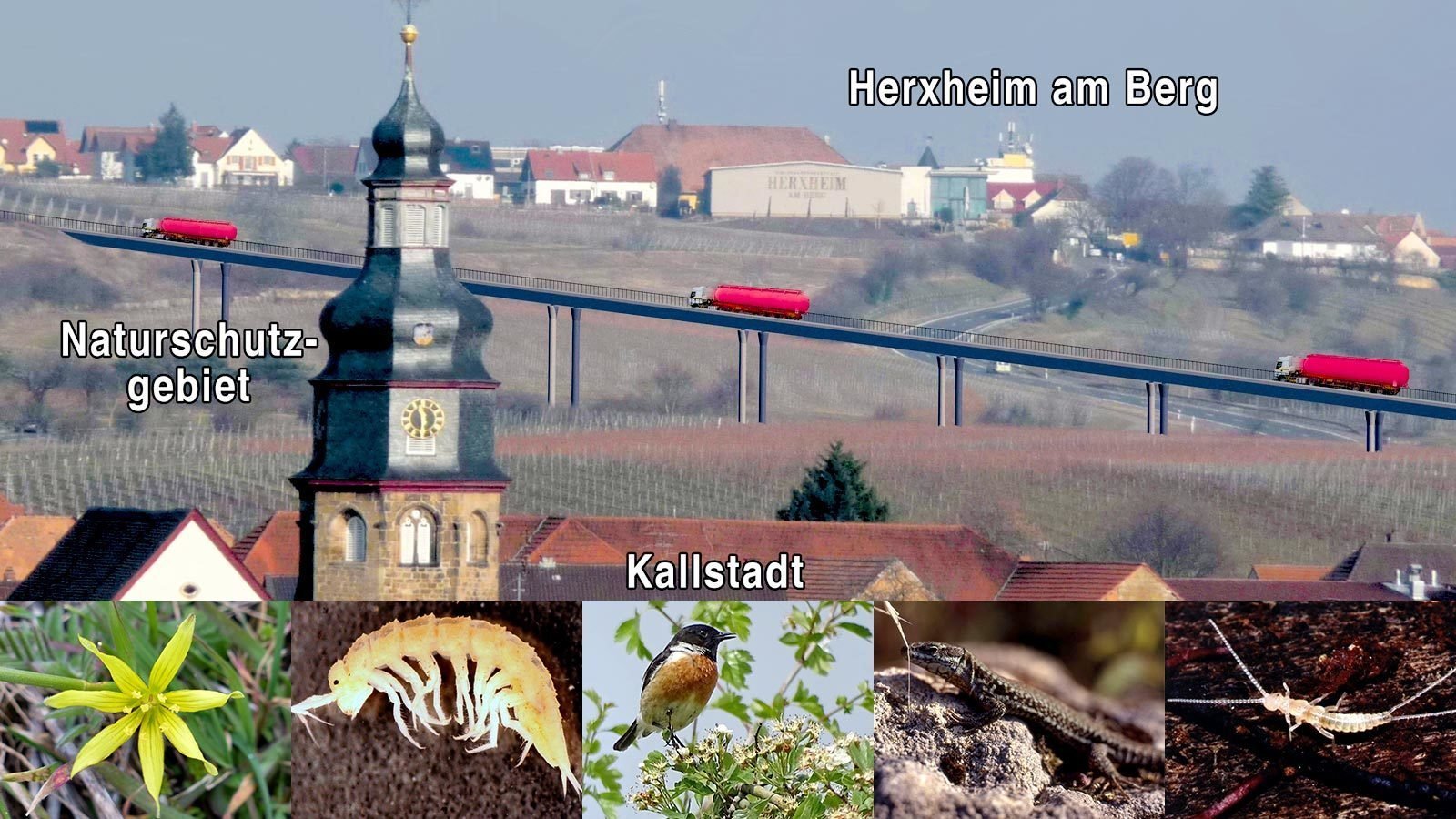 Petition · Rettet den Haardtrand und das Biosphärenreservat Pfälzerwald