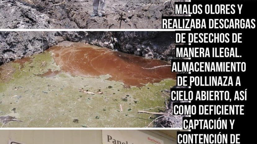 Petición · Control de malos olores en la fábrica Bachoco en Corregidora ...