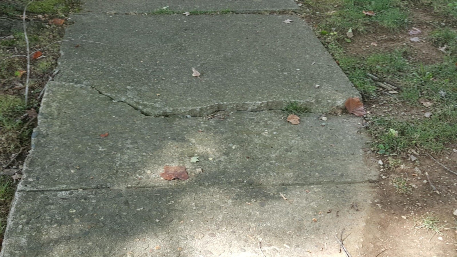 Petition · Brookfield Manor Sidewalk Repair ·