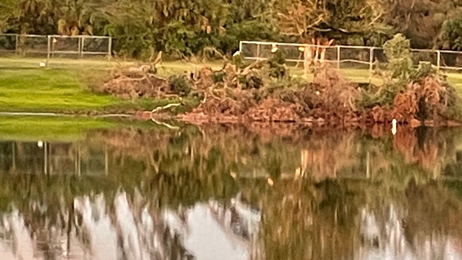 Petition · Reopening of Warm Mineral Springs Gem of the NorthPort