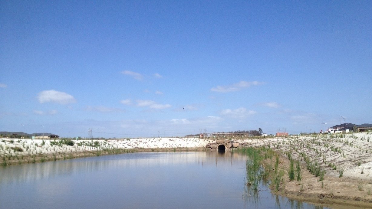 Petition · Put Safety Fencing around Waterways in Housing Estates