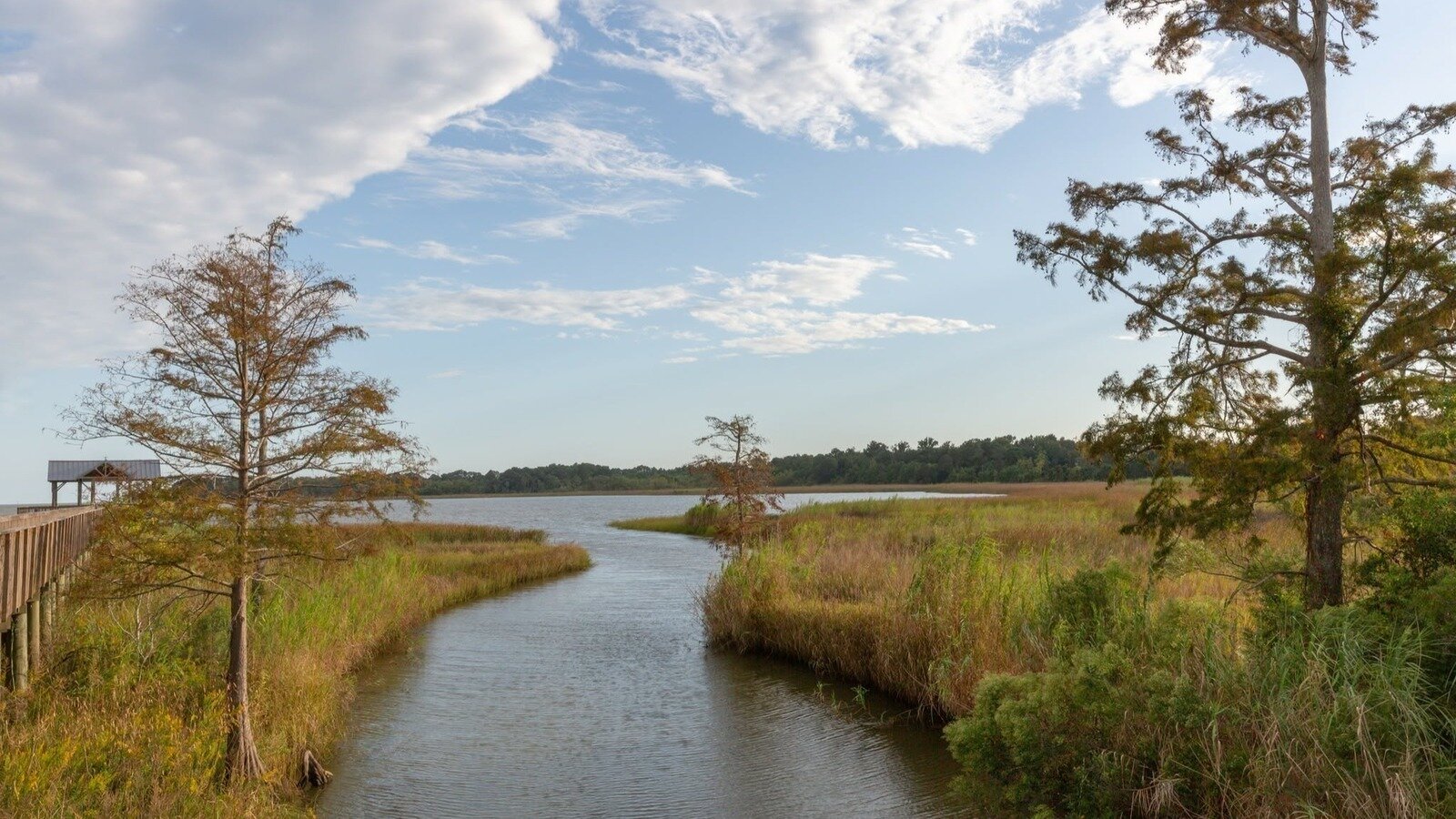 Petition · Protect Calvert, Alabama from an AI data center invasion ...