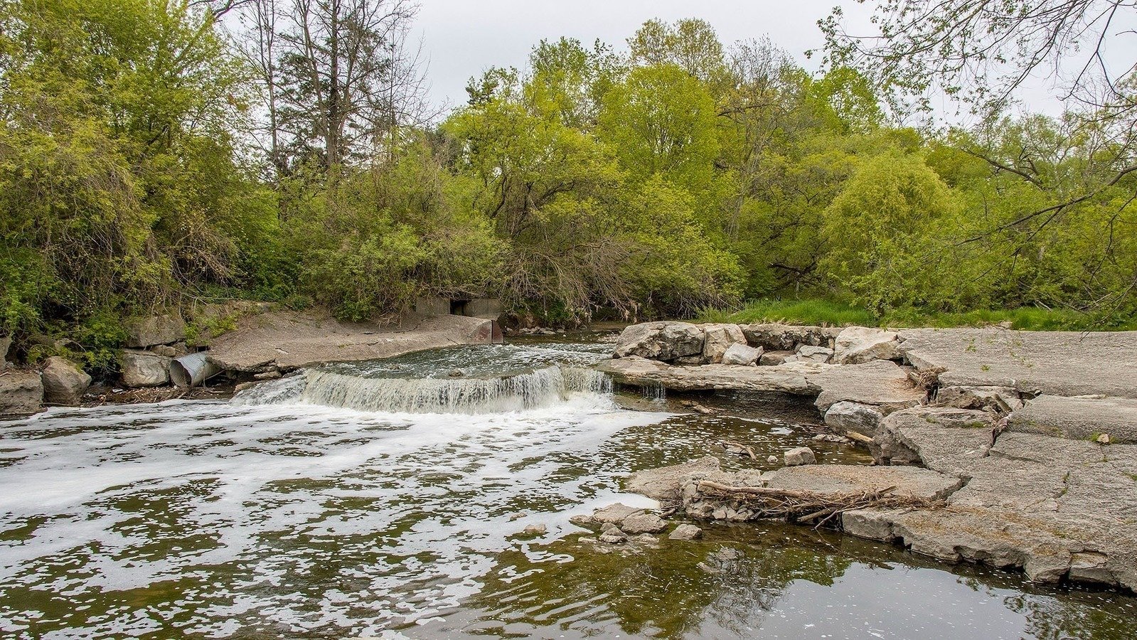 Petition · Ditch The Dam Let the Etobicoke Creek Flow! Canada