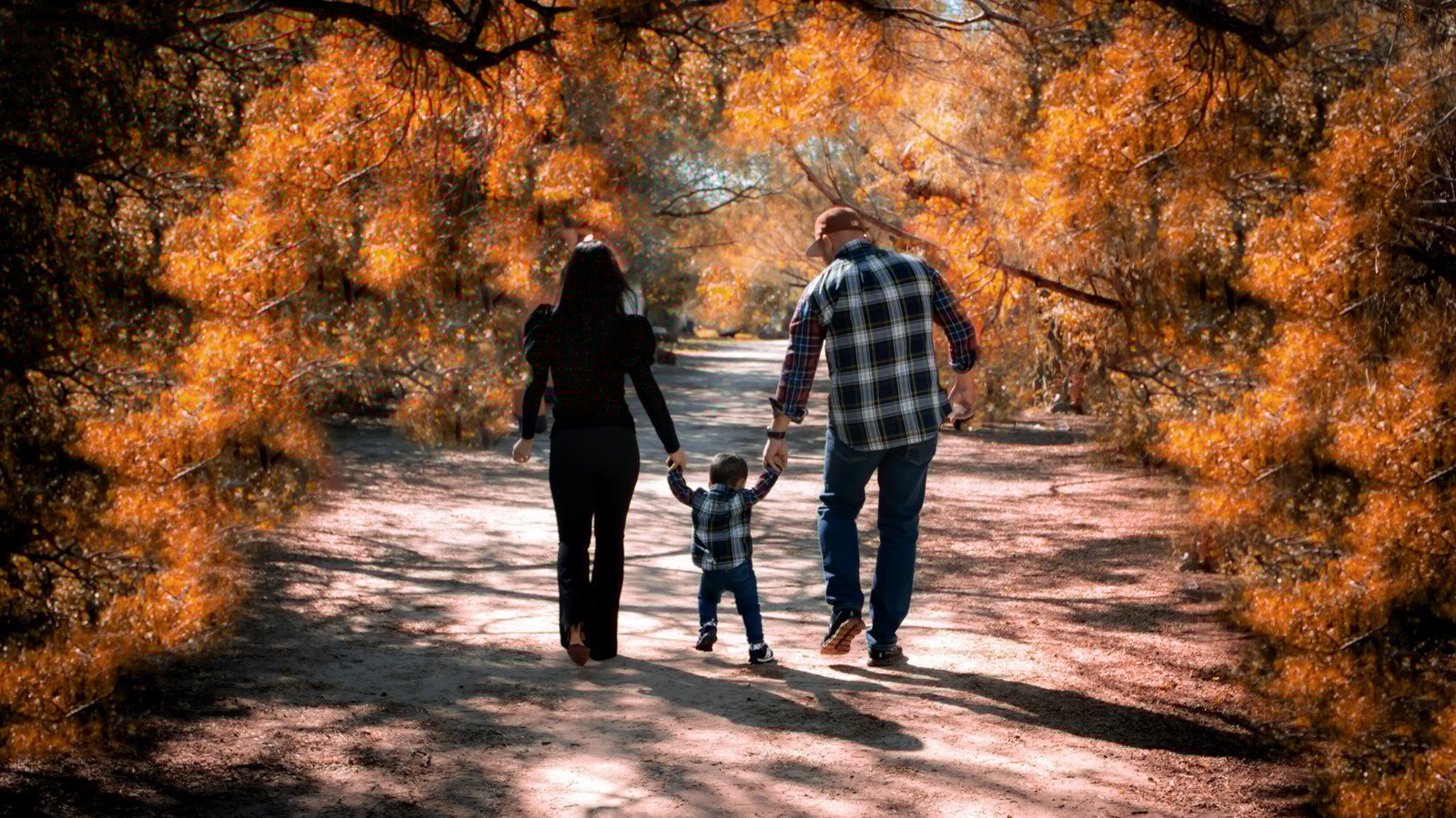 Petition · Save McAllen's Only Pumpkin Patch/Christmas Farm - McAllen