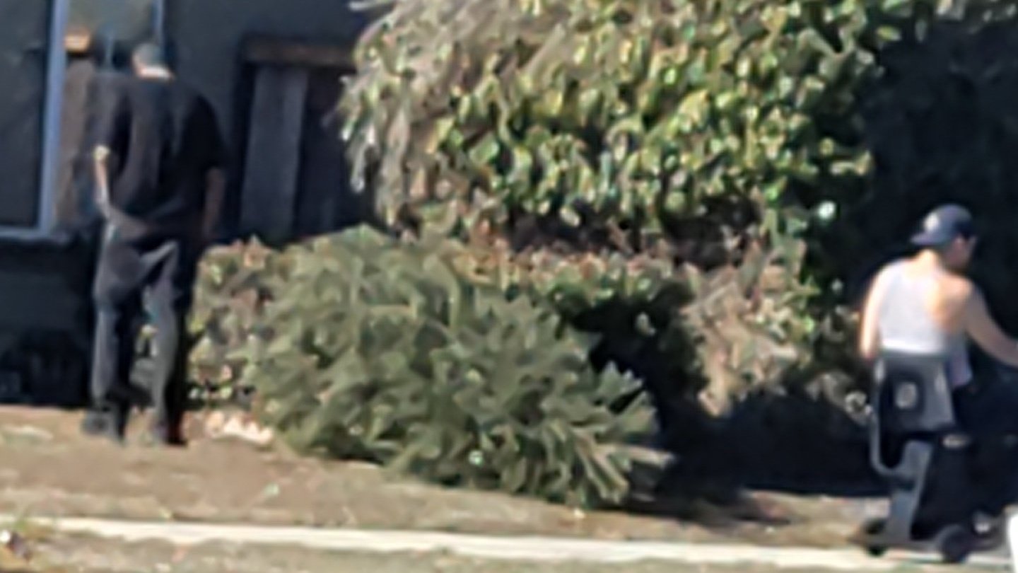 Petition · Squatters removed and house sold United States ·