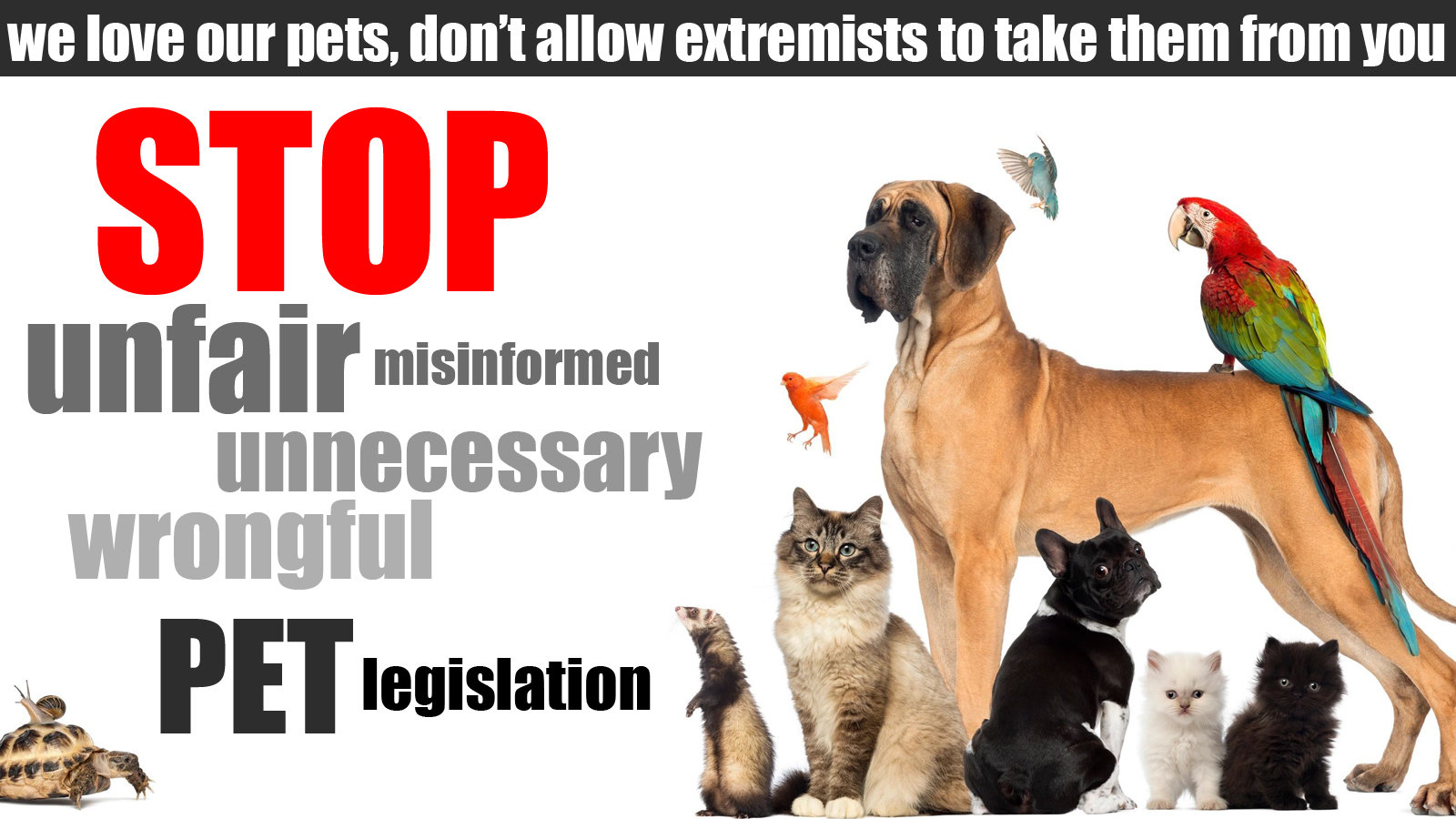 Pets are our friends. Pets are our friends. Pets are our friends. Pets. Our pets.