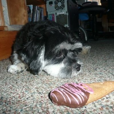 ChangeOrg profile picture for @nanny