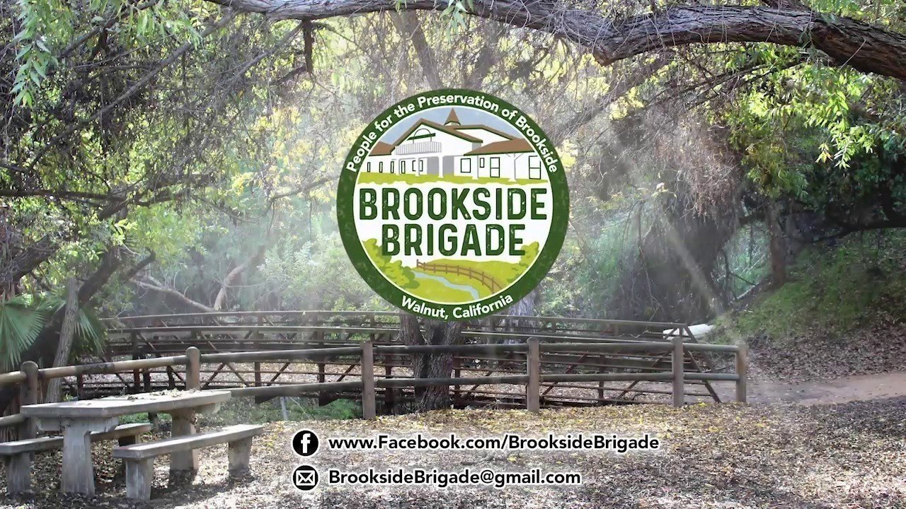 Petition · Help Save Brookside Walnut! ·