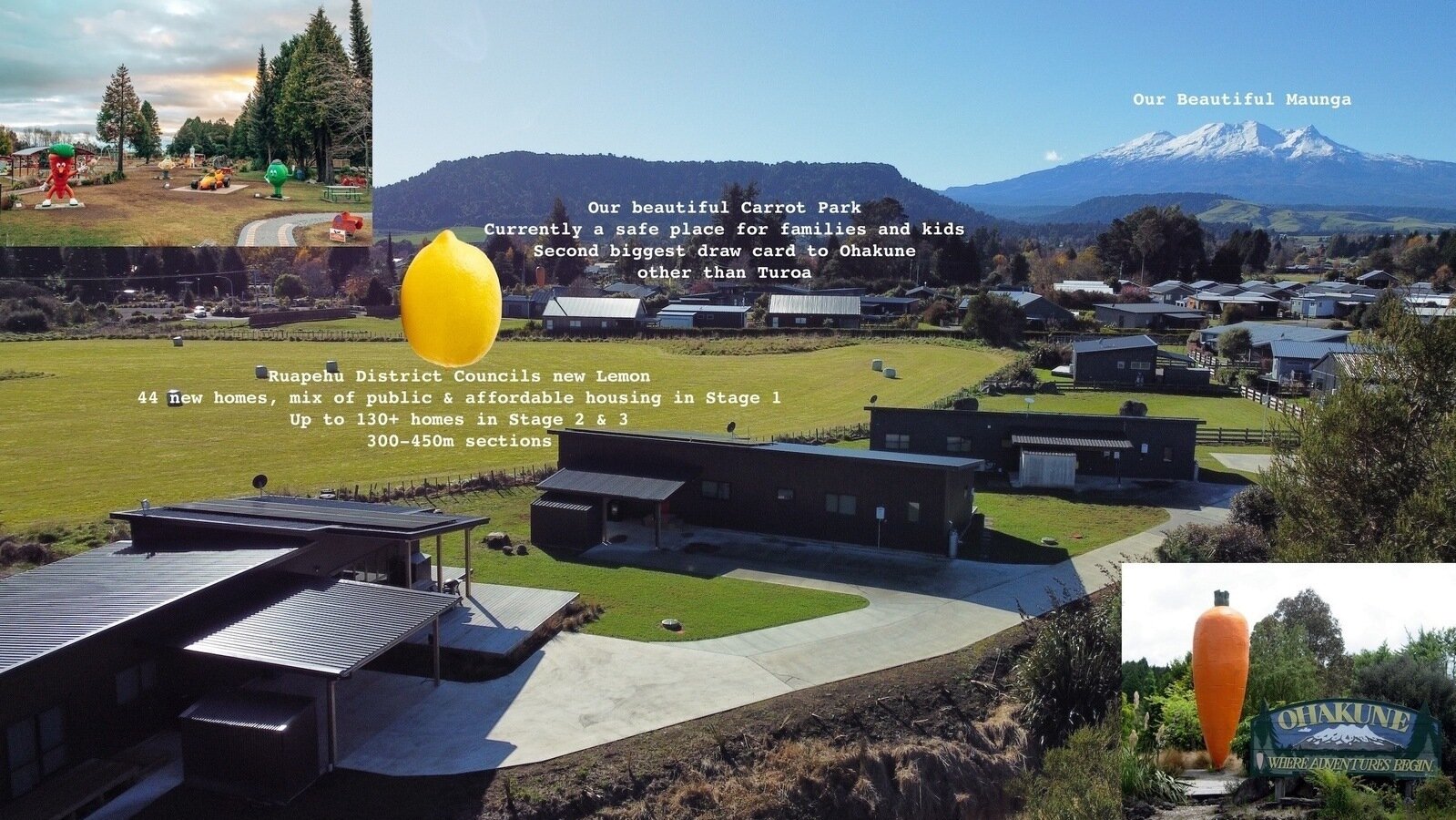 Teitei Petition · Ohakunes Carrot Park - TeiTei Social Housing Development ...