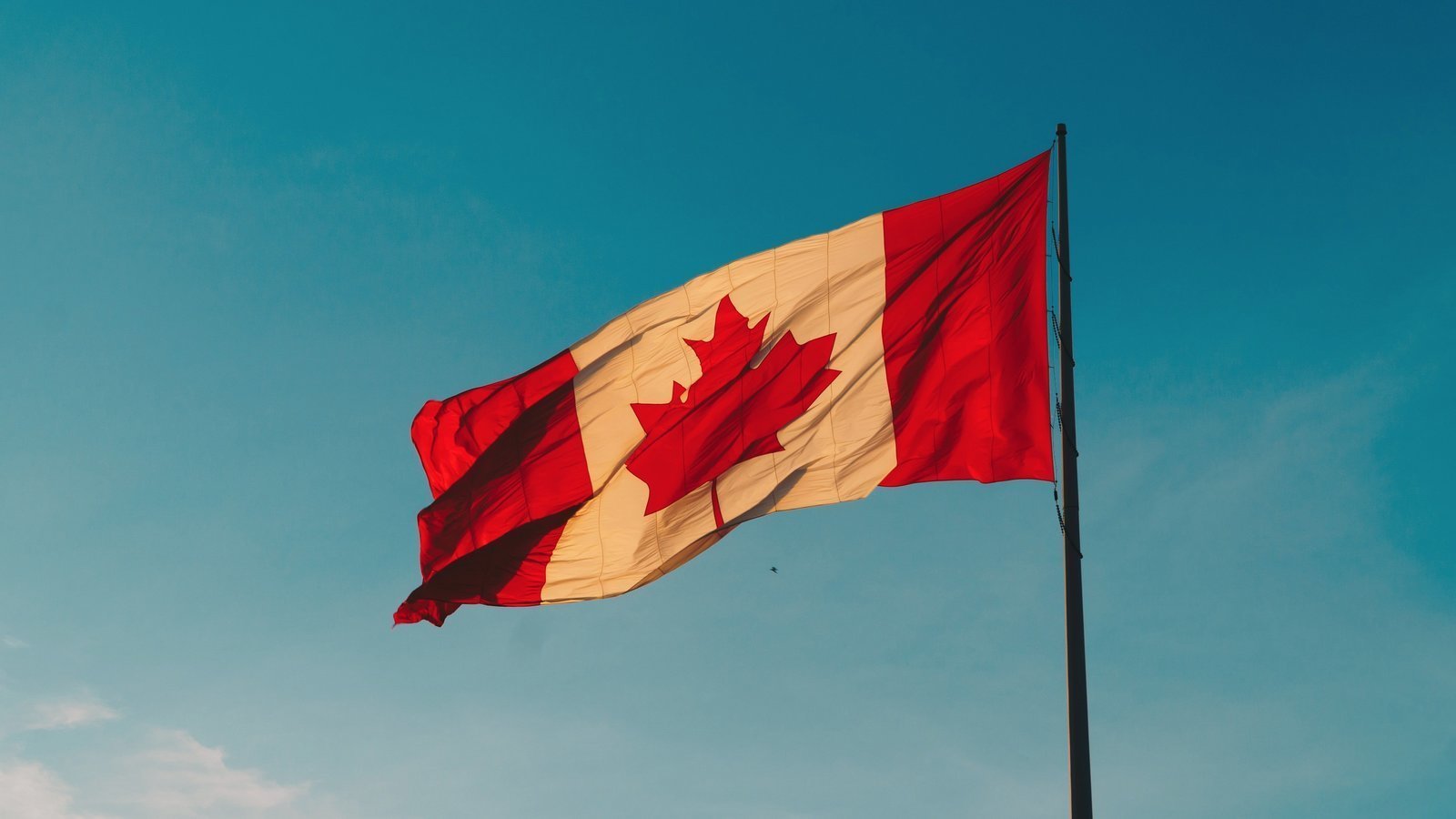 Petition · STOP THE CERB CLAWBACK Canada ·