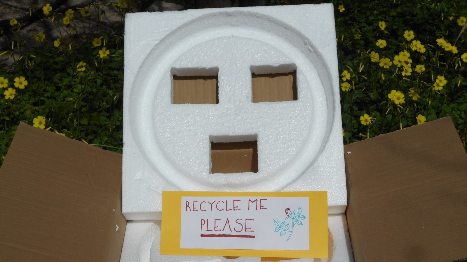Petition · Install Styrofoam block recycling bins next to glass