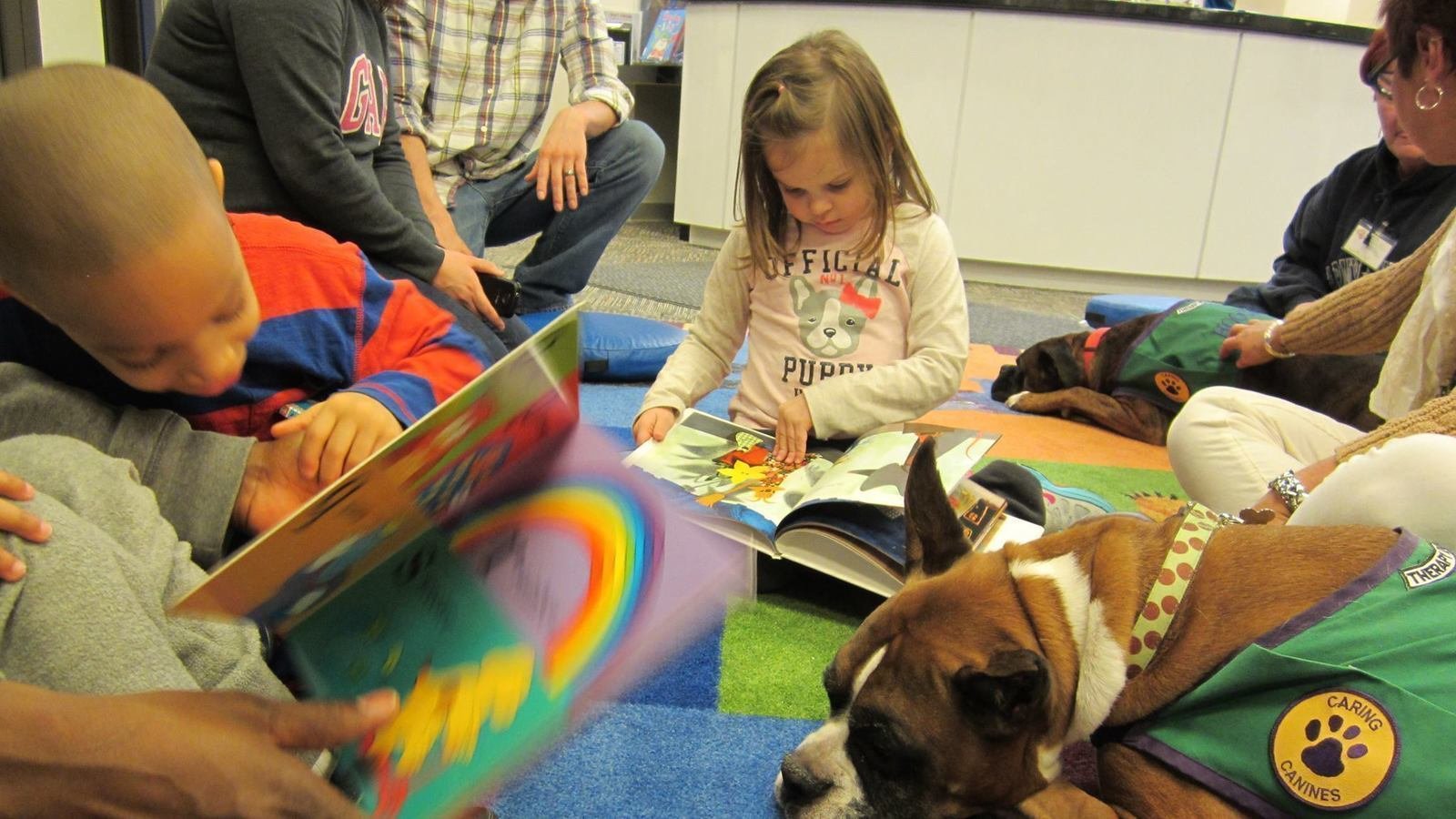 Petition · Remove the canine Boxer breed from the "Aggressive Dog List