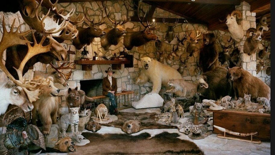 fedex animal shipping