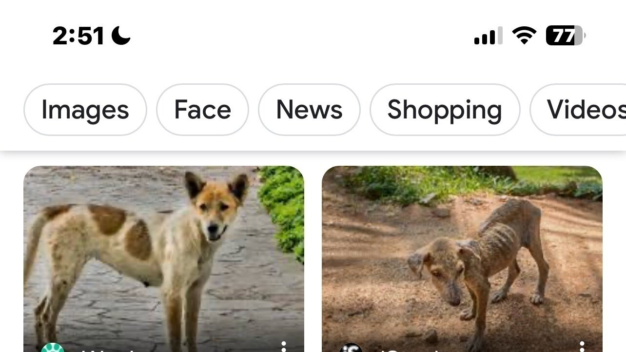 Petition · Introduce Pet food regulation Australia ·