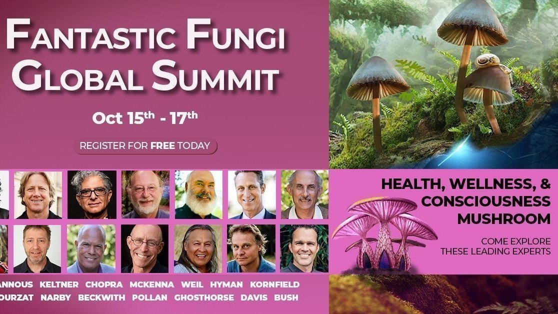 Petition update · Could mushrooms replace plastics? FREE Fantastic Fungi Global Summit Pass