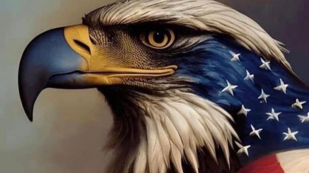 Petition · Protect our Republic Transparent & Accurate Elections in