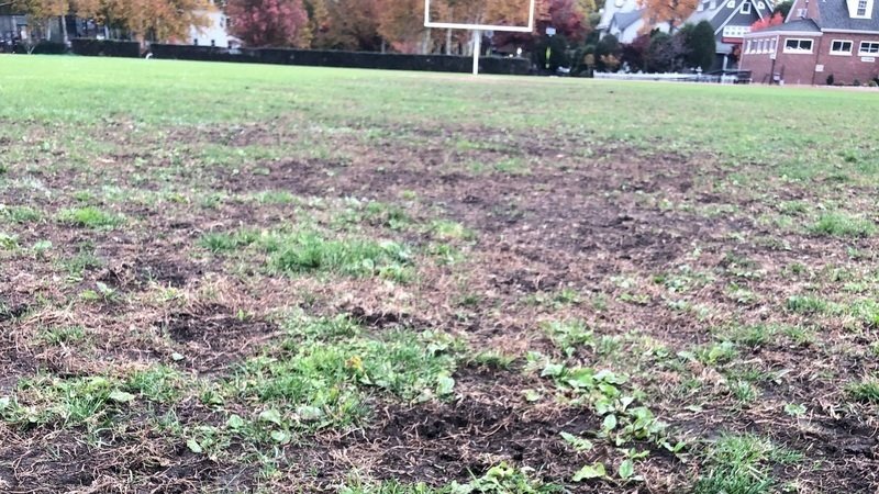 Peion Kristin O Neil Install 100 Cork Turf On Hurrell Field Install 100 Cork Turf On Hurrell Field Via Resolution Ordinance Of The Gr Town Council