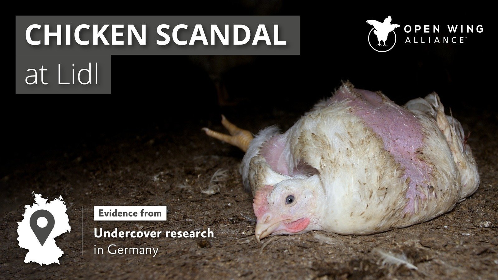 Petition · ЛИДЛ трябва да спре това страдание! - Bulgaria · Change.org