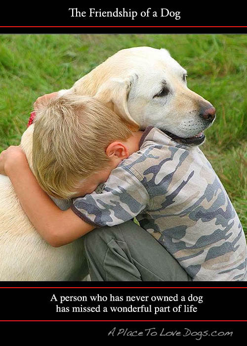 Petition Update Http Philantproduct Blogspot Com 2011 03 Adu