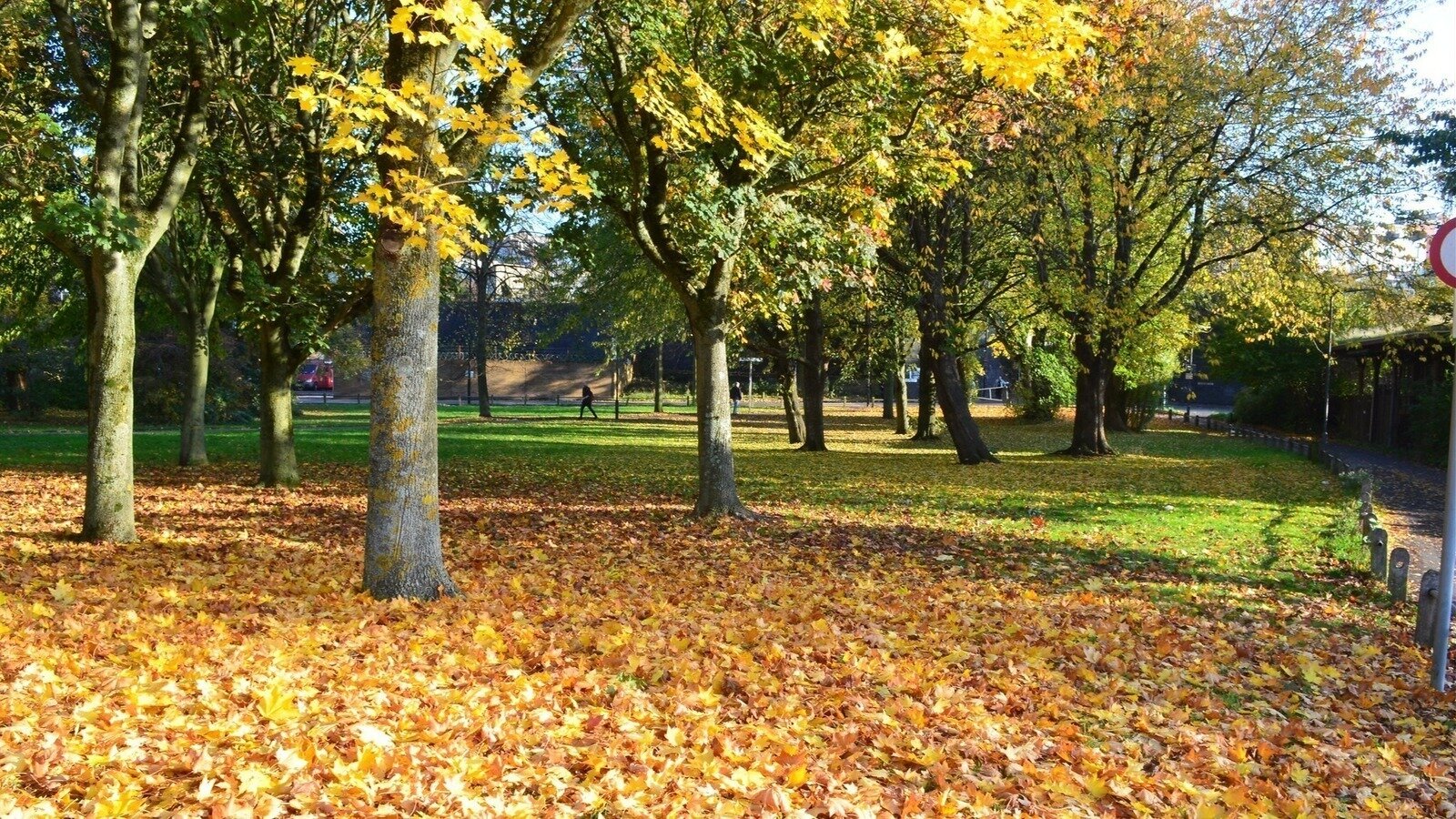 Petition · Keep Bedminster Green a Local Green Space United Kingdom