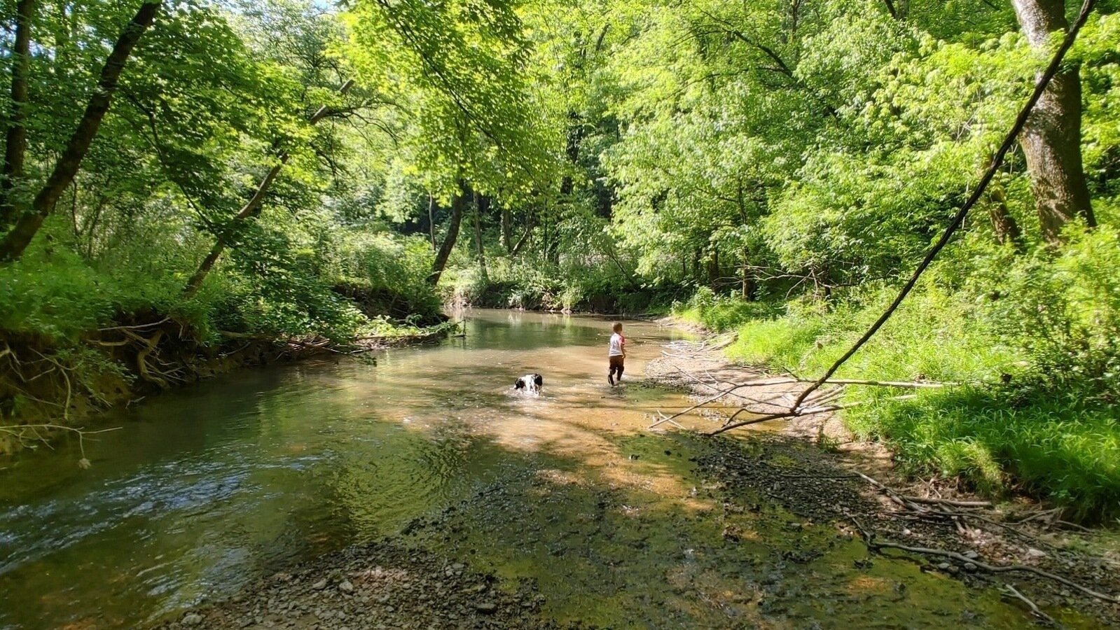 Petition · Halt the Establishment of a Rock Quarry in Walker County, GA