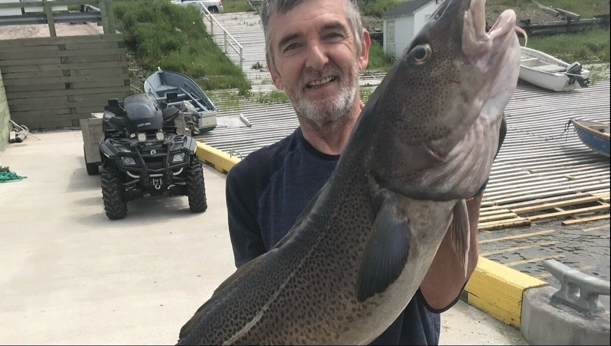 Cod End Petition · End the recreational cod fishery in NL to allow for a safer ...