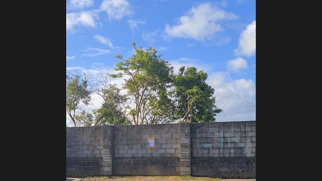 Petition · Save Our Cul de Sac Hillcroft Close, St Patricks Road