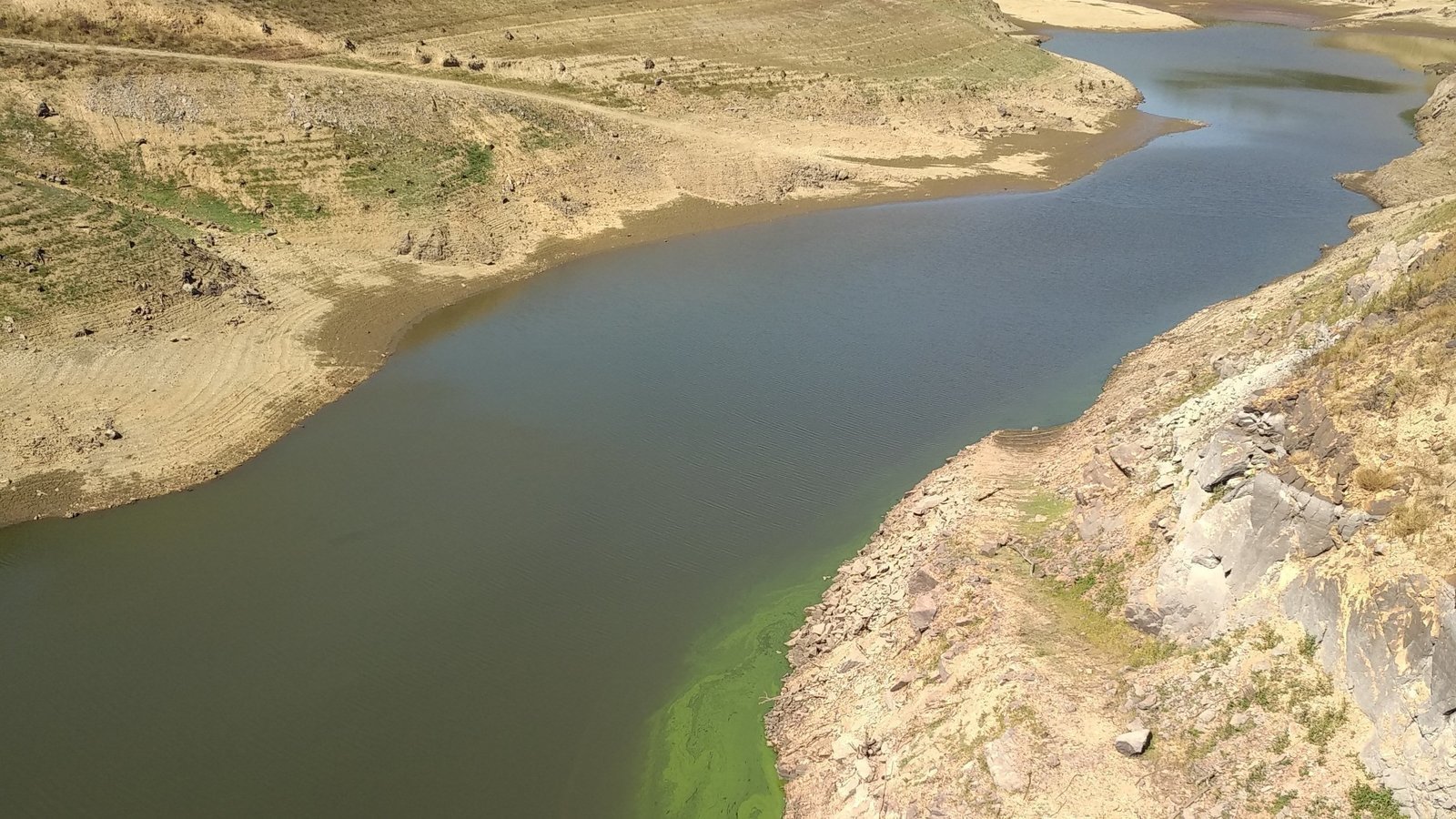 Pétition · Sauvons les poissons du barrage de la SEP (63) France