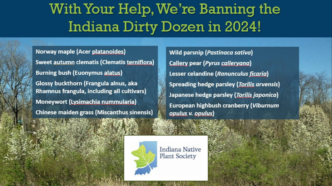 Petition · Stop the Sale of Callery Pear in Indiana! - United States ...
