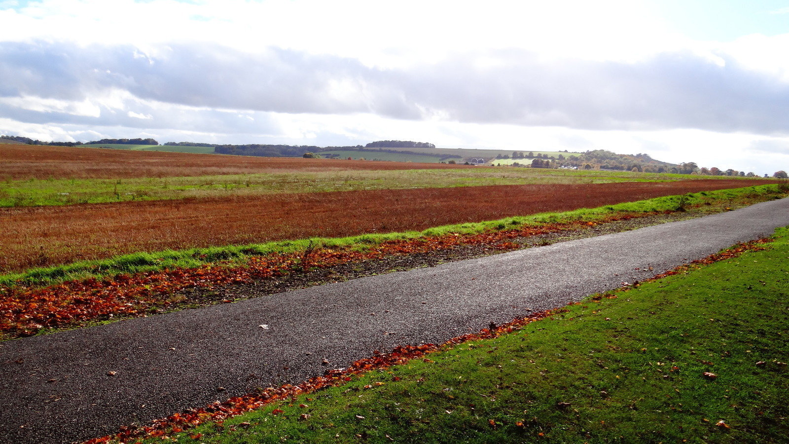 Petition · Stop development plans for Baldock, land south of Clothall