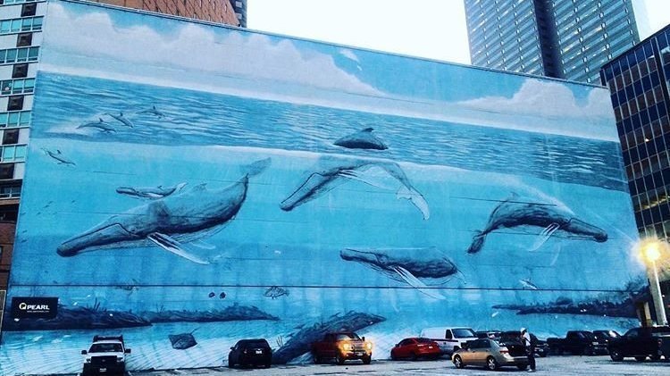 Petition · Save the Downtown Dallas Wyland Whale Mural - United States ...
