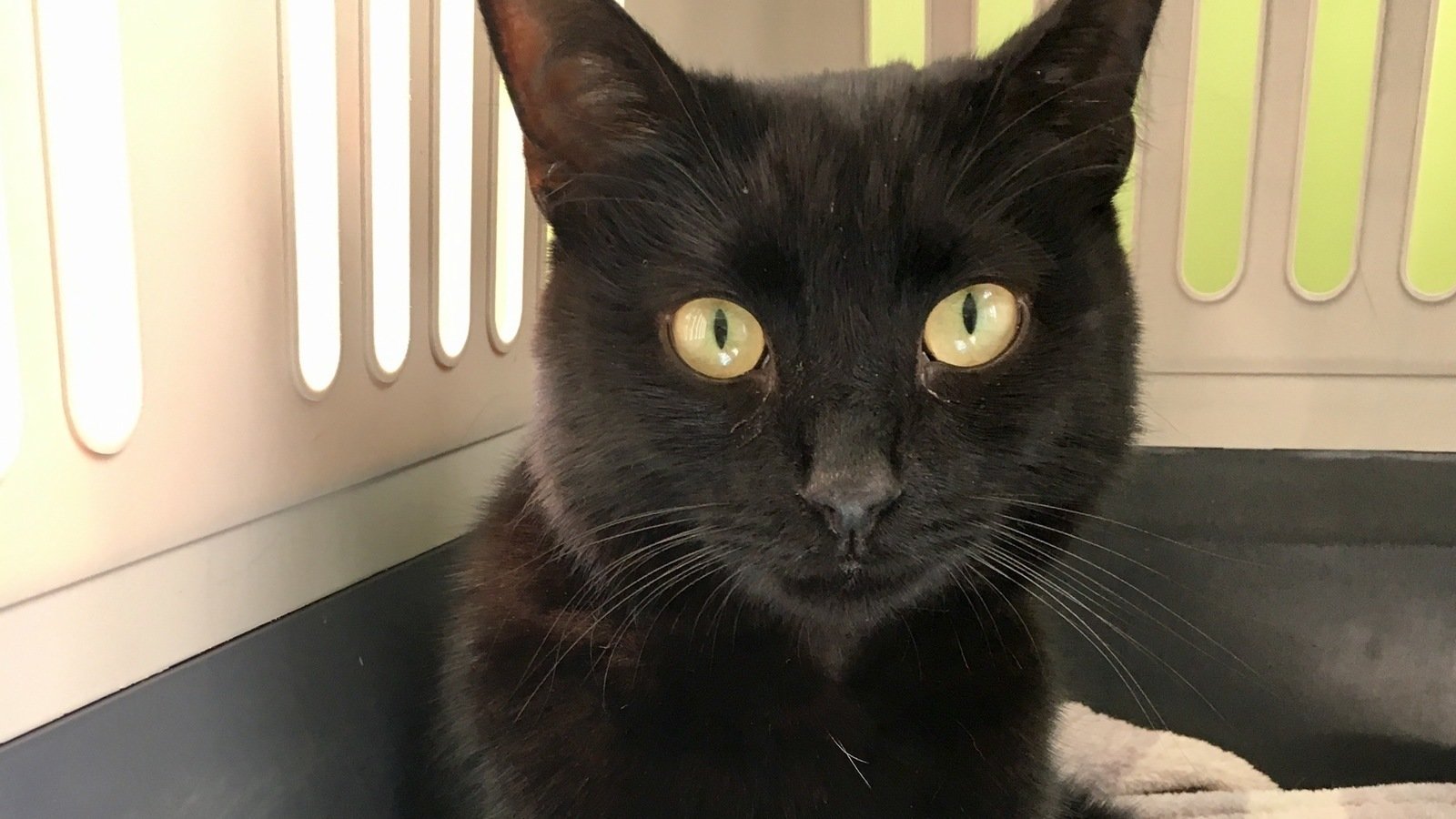 Petition · Change the legislation surrounding the classification of