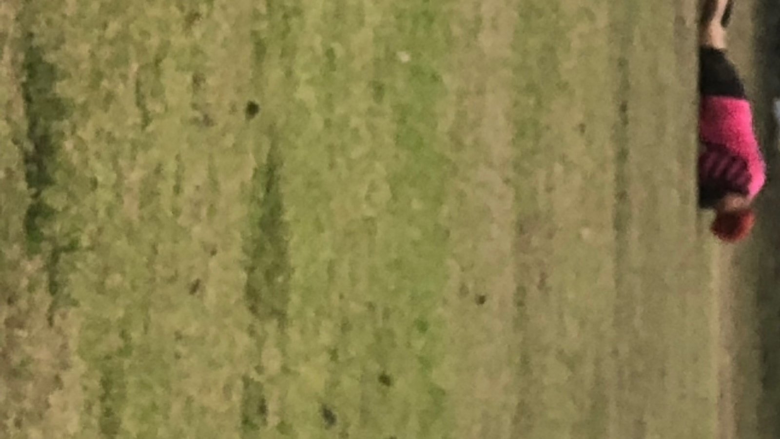 Petition · Delilah making a TikTok ·