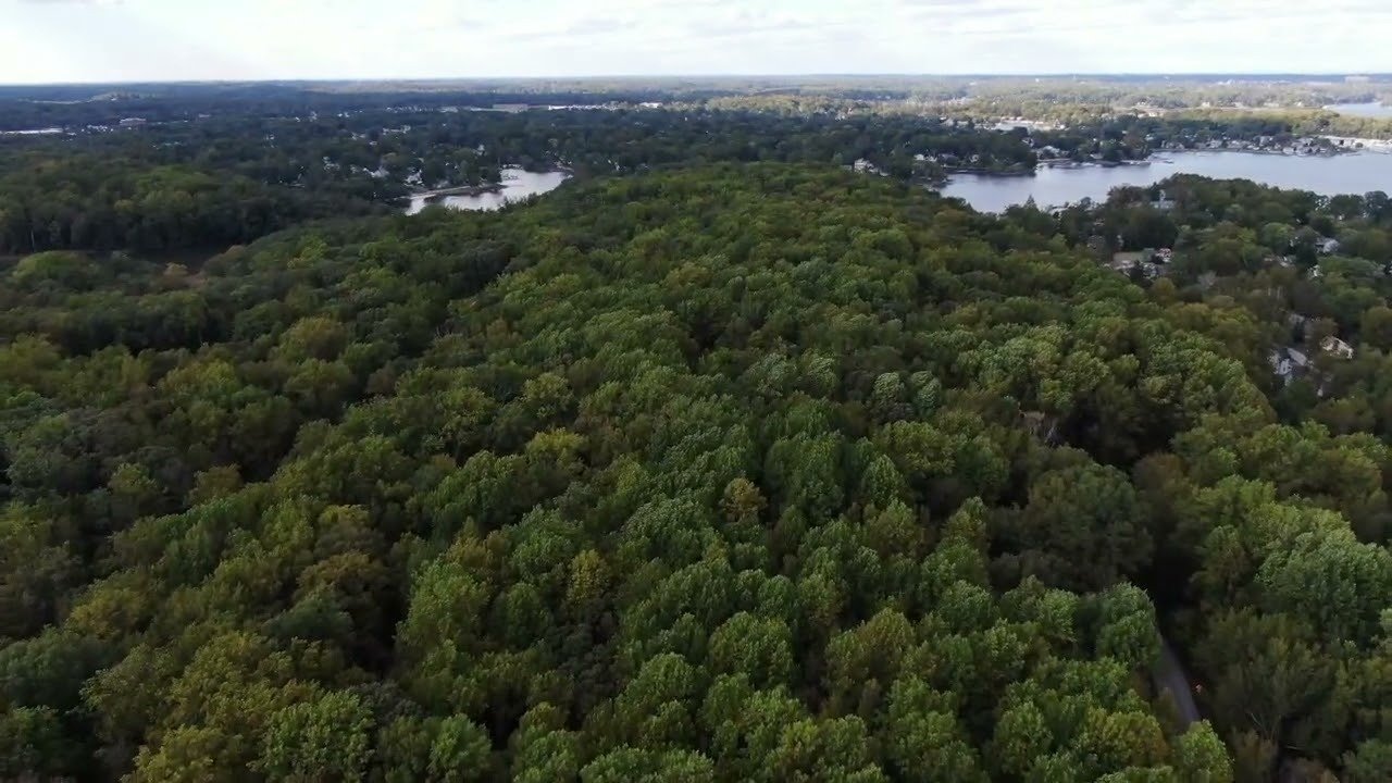 Petition · Save Glebe Forest Now! United States ·