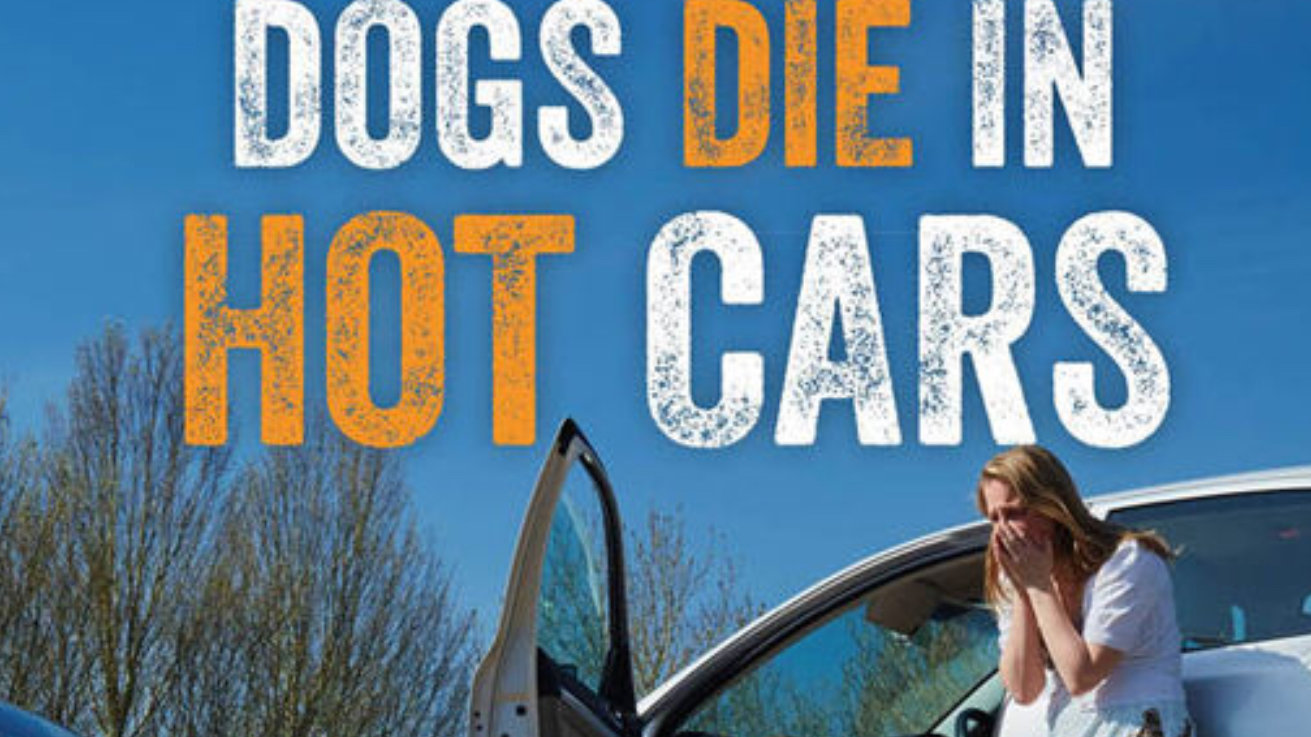 Petition · To stop people leaving pets in hot cars. United States