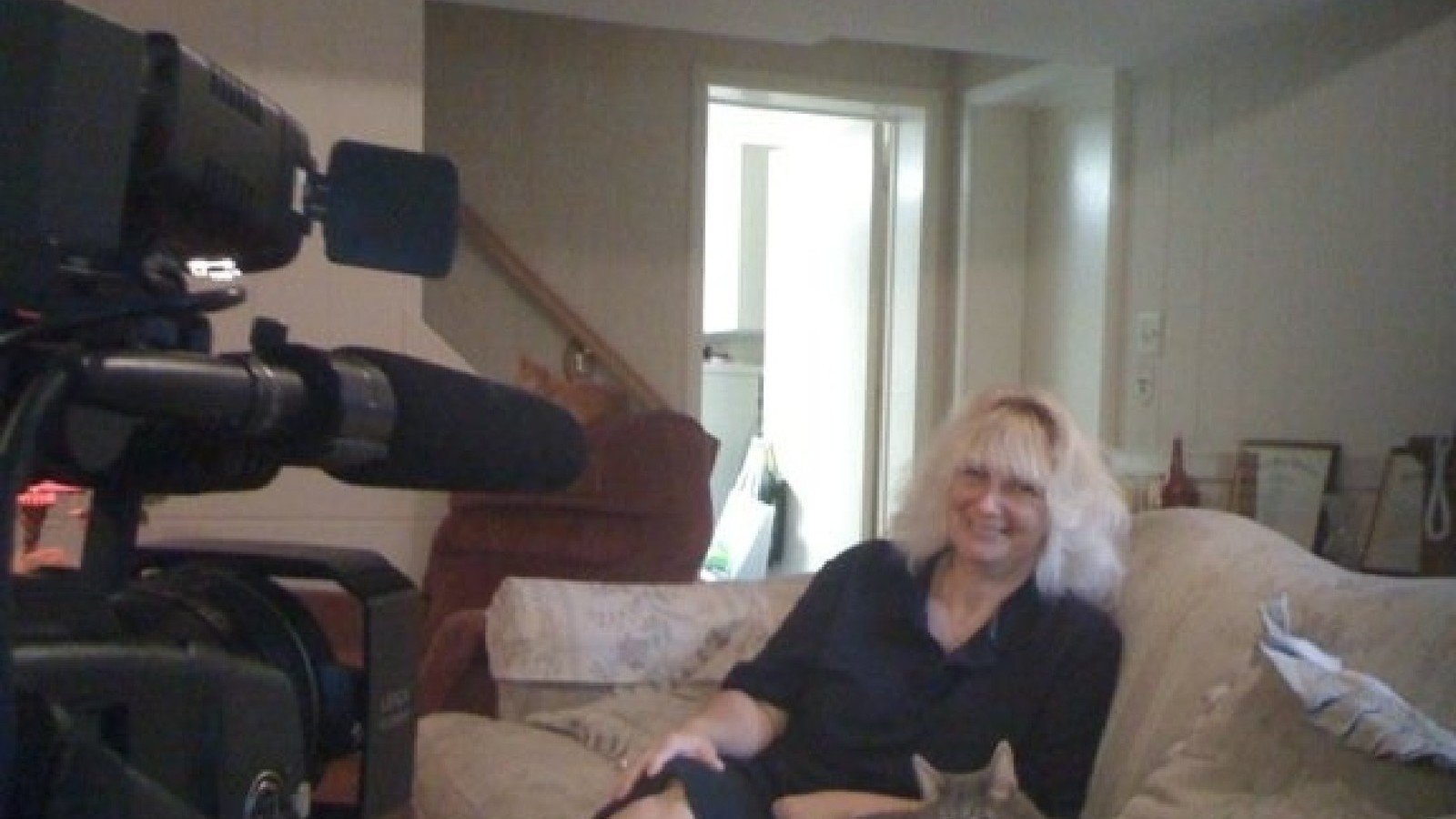 Petition · Allow small pets leaving the Hawaiian Islands to ride in the