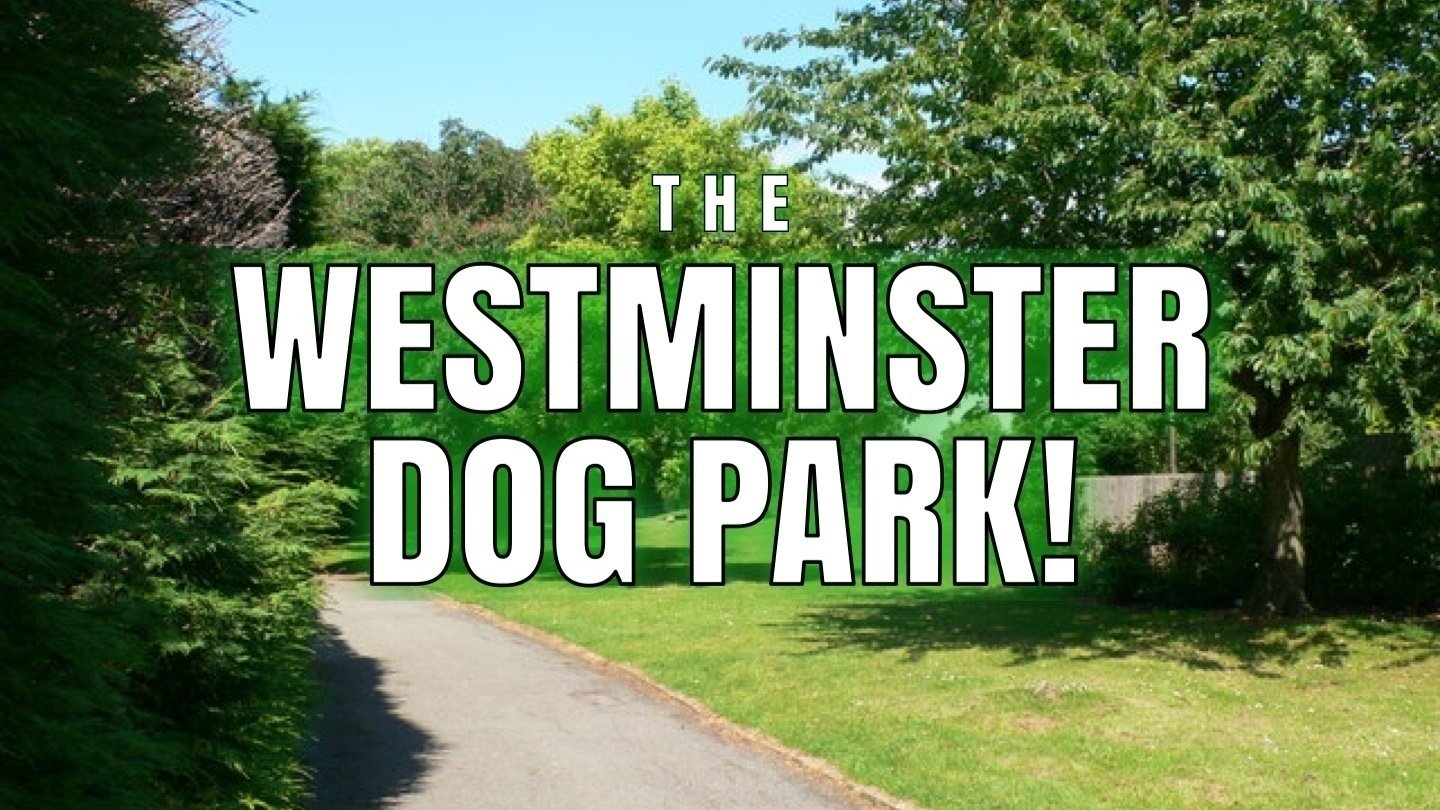 Topic · Westminster park ·