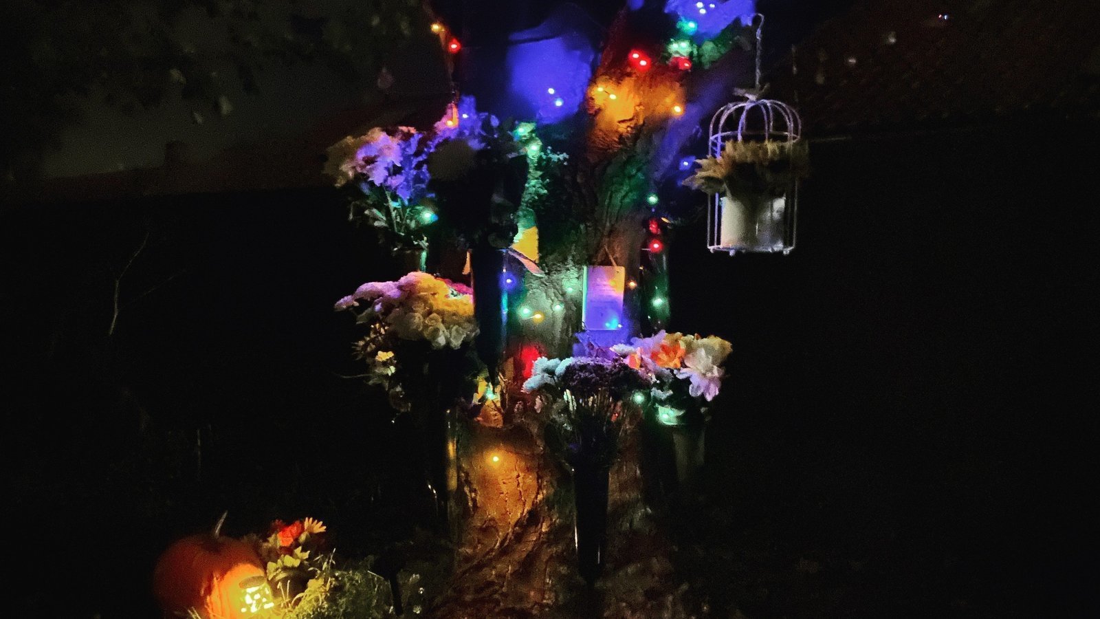 Petition · Save "This Tree" and Peasey Hill Recreation Ground, Malton N